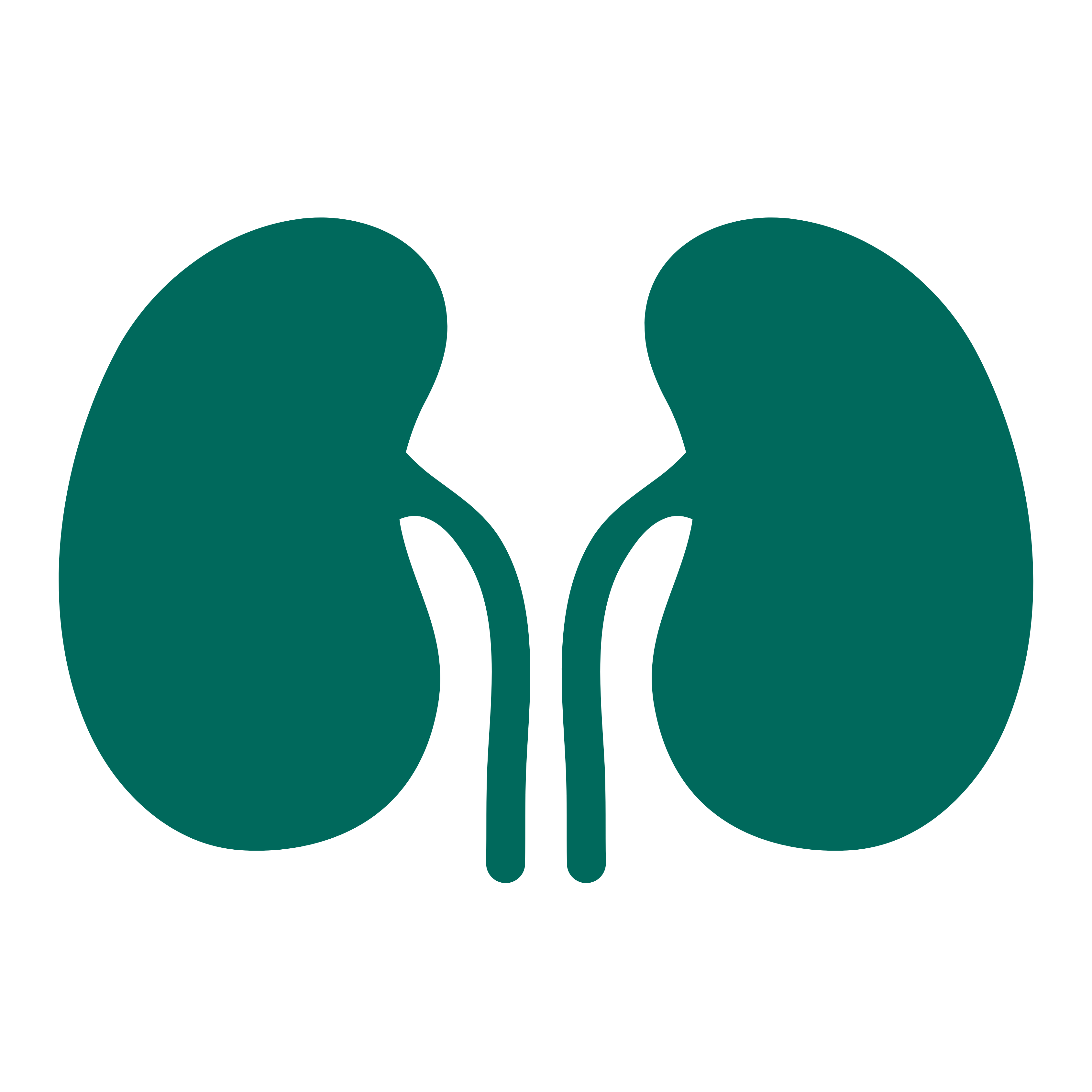 Kidney Transplant